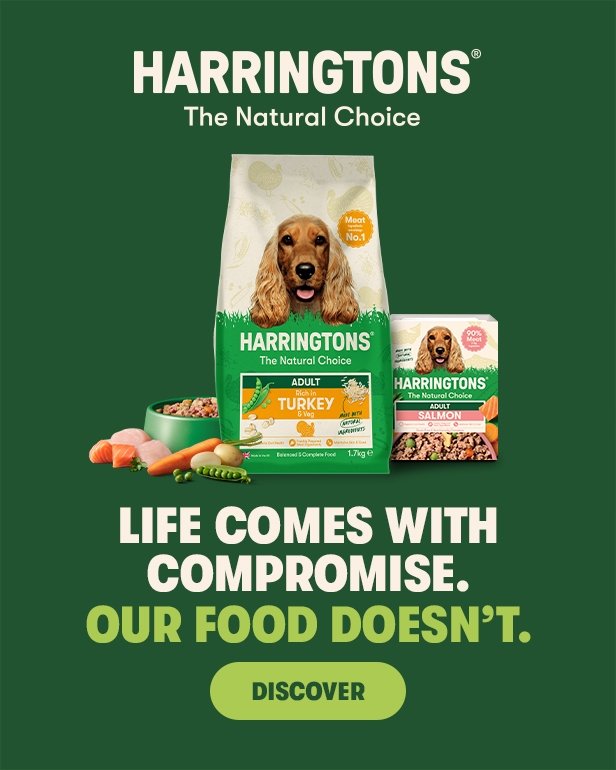 Harringtons