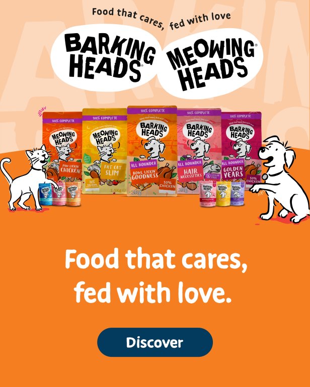 Barking Heads