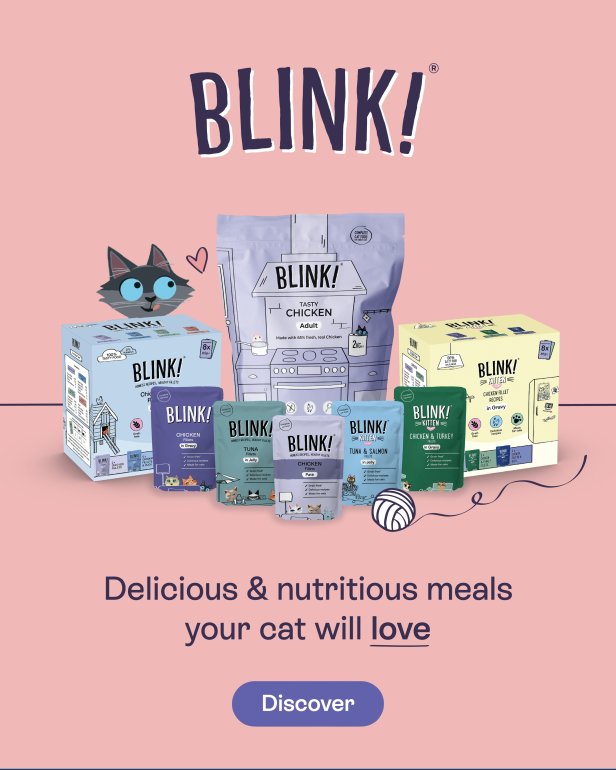Blink!