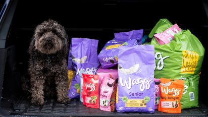 Inspired Pet Nutrition Media statement – IPN is acquired by CapVest and embarks on the next phase of growth and expansion