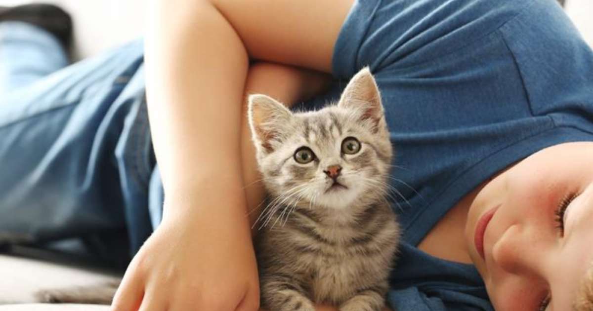 Owner Addoring Cat The ultimate checklist for being a successful cat owner | Inspired Pet ...